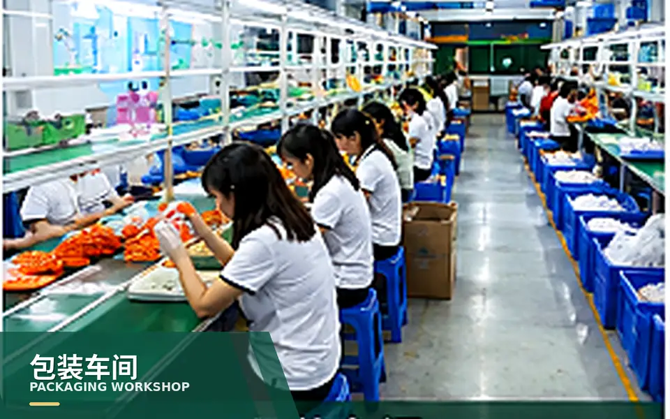Packaging workshop